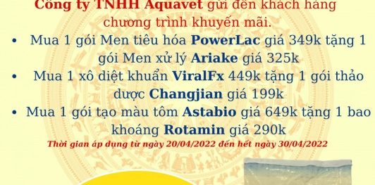 Chương trình khuyến mãi 30/4